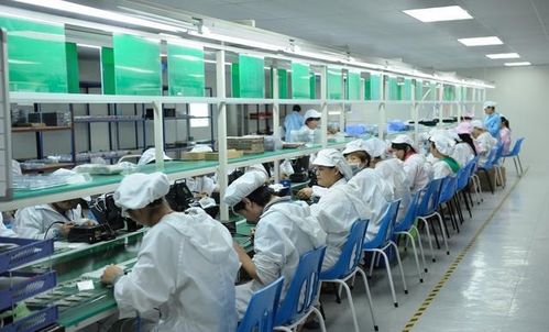 從賭場深淵到電子廠救贖 一個廣東靚仔的“生活真諦”